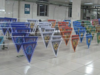 Pennant Flag/Triangle Flag/String Flag/Bunting Flying Flag with your logo