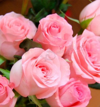 迪拜鲜花进口商天然花卉单茎切新鲜玫瑰热销