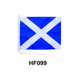Custom cheap HF099 polyester Hand flag with high quality and any size