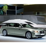 лучший солнцезащитный козырек для крыши автомобиля