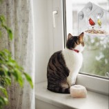 Großverkauf kreativer freier AcryLfenstervogeLzufuhr Mit starken ALLwetter Saugnäpfen