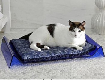 Wonderful Acrylic Designer Dog / Cat Bed