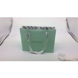 China Manufacturer Custom Paper Gift Bags/Shopping Bags