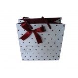 Bolsas de papel de promoción de moda para prendas de vestir (Flp-8922)
