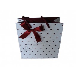 Sacos de papel da promoção da moda para vestuários (Flp-8922)