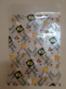 Pp op maat bedrukte ziplock plastic zakken voor ondergoed (FLZ-9211)