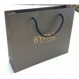 Retail Printed Paper Shopping Gift Bags/Gift Bags