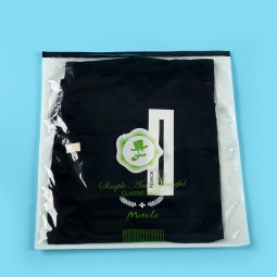 Ldpe imprimió bolsas de plástico ziplock para prendas de vestir (Flz-9221)