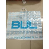 High Quality Printed LDPE Bags for Promotional Gift