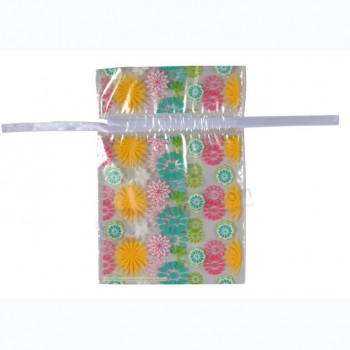 Bolsas de cordón impresas de doble capa para alimentos (Fls-8042)