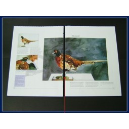 Customized high quality Soft Cover, Full Color Offset Printing Children Book