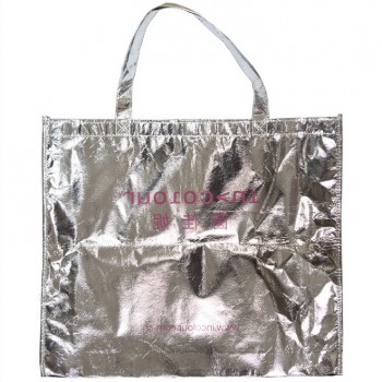 Pp ламинированный нет-тканые сумки для одежды (млн-9040)