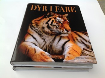 Wholesale Customized high-end Coloring Cheapest Book Printing/Hardcover Book Printing/Softcover Book Printing