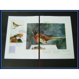 Couverture soupLe personnaLisée de haute quaLité en gros, Livre d'enfants d'impression offset en couLeur