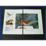 Whlesale customized high quality Soft Cover, Full Color Offset Printing Children Book