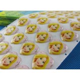 WhoLesaLe kundengeBundener QuaLitätsepoxy-AufkLeBer, EpoxidaufkLeBeraufkLeBer, 3d EpoxidhauBenaufkLeBer