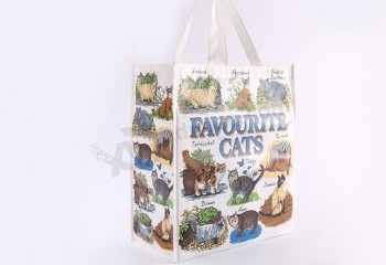 environment-Friendly Non-Woven Gift Bag, Shopping Bags, Gift Bag for Promotion