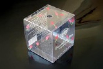 подгонянная коробка подарка высокого качества прозрачная пвх
