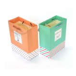 Promotional Foldable Shopping Paper Bag with Handle