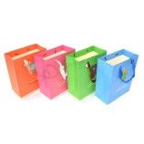Custom Design Logo Printed Foldable Paper Gift Bag with Handle