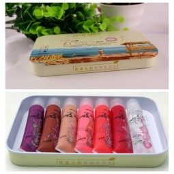 Caja de metal con diapoSitivaS para brillo de labioS perSonalizado (Fv-041222)