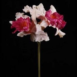 Beautiful Custom PU Artificial Flower for Sale