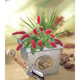 Hot Selling Various Mini Plant Kit Wholesale