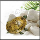 2017 Wholesale customized high-end New Style Carbon Fiber Animal RC Car