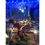 亚克力爬行动物屋配有leD灯批发
