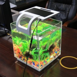 NuevA pAtente nAno viStA Acrílico tAnque Ree peceS mini AcuArio pequeño tAnque Ree peceS Al por mA年or