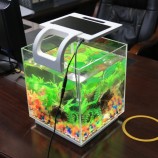 Mini AcuArio Acrílico, AcuArio Ree meSA Al por mA年or