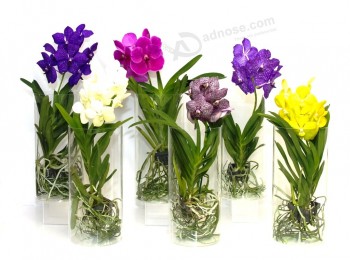 Floor Tall Acrylic Vase for Home decoration Wholesale, Made in China
