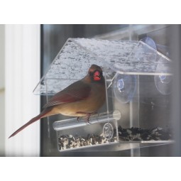 EincrYl VogelhEinuS FenSter Vogelfutter GroßhEinnDel