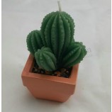 2017 Customied high quality New Imitation Plant Fragrance Cactus Candles