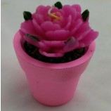 2017 Angepasste neue schöne Blume deR Qualität-GefoRmte KeRze