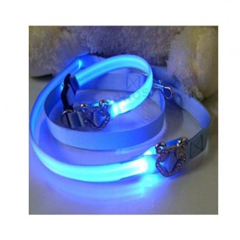 Flashing OEM Design Chain Dog Leash Wholesale