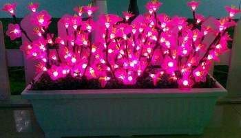 New OEM Design Beauty LED Flowers Wholesale