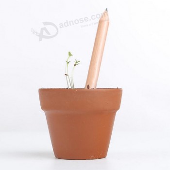 Wholesale Customied high quality Lovely Customizable Seed Germination Pencils