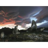 2017 Newest Design Scenic 3D Lenticular Art Picture-A001 Wholesale