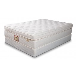 Top Quality Newst Design OEM Spinal Max Bed Mattress Wholesale
