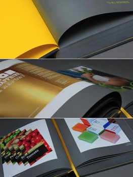 Customized high quality Brochure Printing