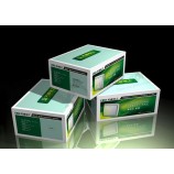 卸売カスタマイズ高-エンドボックスの包装 / 箱と包装 / カスタムパッケージ