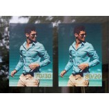 High Resolution Printing One Way Vision Signage Wholesale