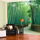 Custom Design Durable Outdoor Graphics Wallpaper Murals Printing Wholesale