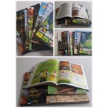 プロフェッショナル卸売りカスタム高-終了企業カタログ/ブック/広告のためのパンフレット印刷