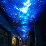 Fashionable Flexible Ceiling Film Printing Wholesale
