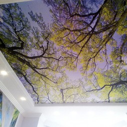 Film de plafond tendu durable fait sur commande de haute qualité pour la décoration