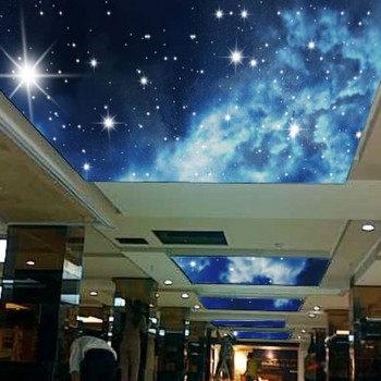 Fashionable Full Color Stretch Ceiling Film Printing Wholesale