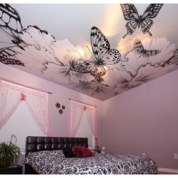 Barato al por mayor hermosa mariposa estiramiento película de techo para el dormitorio