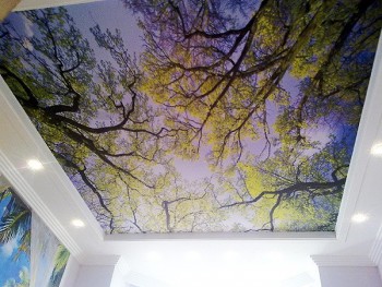 Le plafond fait sur commande de PVC de paysage fait sur commande tendent le film pour la décoration